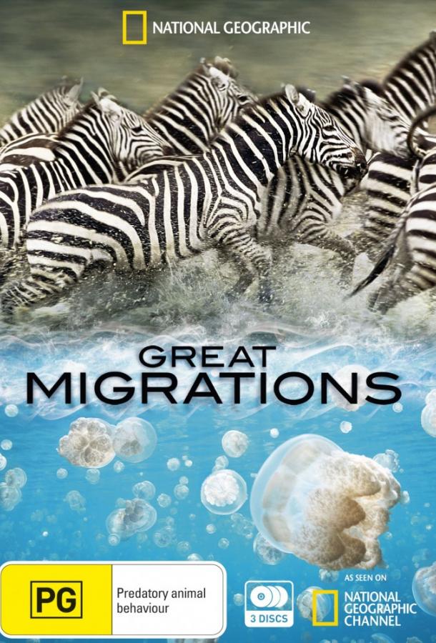 Великие миграции